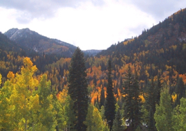 9. FALL CANYON SOLITUDE DIRECT SKI.jpg